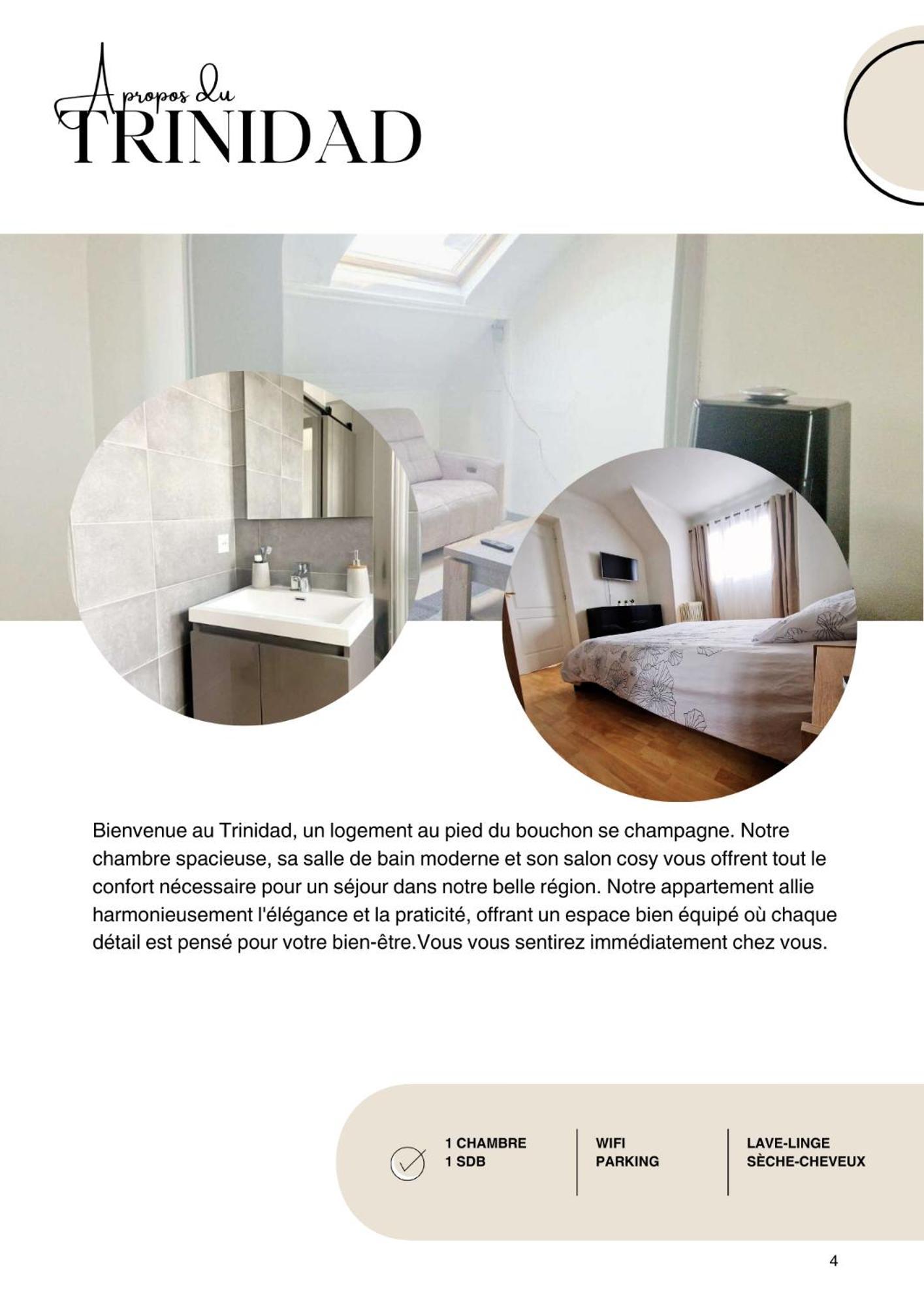 Le Trinidad Apartment Troyes Luaran gambar